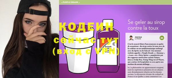 прущие грибы Белокуриха