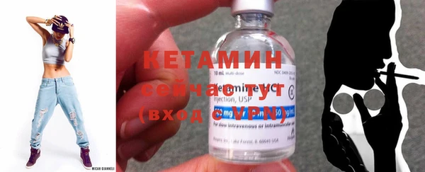 прущие грибы Белокуриха