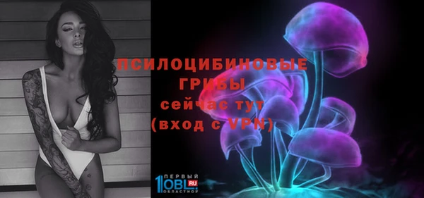 мяу мяу мука Баксан